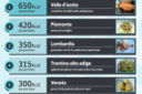 Classifica delle regioni italiane per kilocalorie [Infografica].