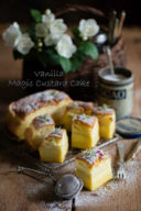 Vanilla Magic Custard Cake