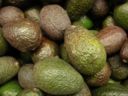 Ecco l'insalata con gamberetti e avocado in coppetta per una cena afrodisiaca