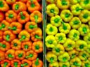 Prepara i peperoni filanti con il pecorino romano per Carnevale