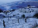 Una sera d'inverno, un Amarone