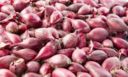 Cipolle rosse sott’aceto