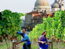 Anteprima un po’ meno toscana