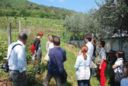 Cantine Aperte il 31 maggio in Lombardia...e oltre