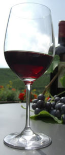 Appuntamenti d'estate 2011: Vinea Tirolensis, in degustazione dai masi dell'Alto Adige