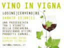 Eventi estate 2011: "Vino in vigna"