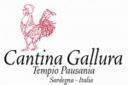 Anche la Sardegna e il Vermentino di Cantina di Gallura a Vino da Star 28 aprile!