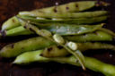 Grilled Fava Beans