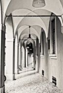Bologna in Bianco e Nero