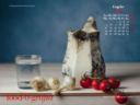 Calendario Desktop Luglio 2010