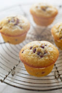 Muffin Speziati alla Melagrana