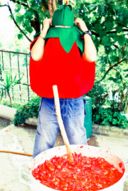 Cosmogonia della Cocconserva