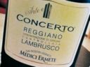 Fabio d’Uffizi | L’isola Emilia e il Concerto Lambrusco