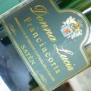 DOCG Franciacorta Satèn – Donna Lucia s.a. [7.0]