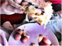Cose molto cattive | Fulsters, cipolle, eventualmente pane