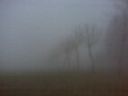 La Nebbia