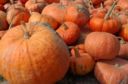 Festa della Zucca - Venzone