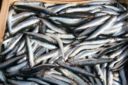 Ricette pesce: acciughe imbottite