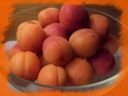 Ricetta dolce di semolino e albicocche