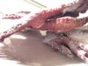 Dolci Carnevale: chiacchiere al cacao