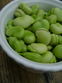 Le fave, regine di questa stagione