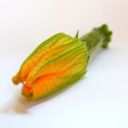 Ricette Bimby: sugo con cozze e fiori di zucca