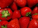 Fragole: ricette e varietà