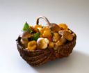 Ricette primi piatti: Maccheroni con i funghi