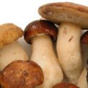 Ricetta per le banderillas di funghi porcini
