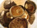Ricette pasta: timballo di rigatoni con funghi
