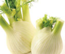 Ricette verdure: gratin di finocchi al pecorino