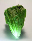 Ricetta insalata invernale con lattuga