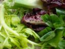 Ricetta insalata di finocchio e sedano