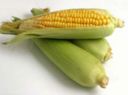 Il mais, prezioso in cucina e per il nostro benessere!