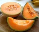 Crema fredda di melone, primo piatto estivo light