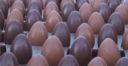 Dolci di Pasqua: gli ovetti di cioccolato “stregati”