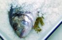 Come preparare il pesce al sale in maniera facile e veloce
