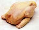 Piatti unici: sformato di pollo e tagliatelle