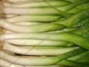 Ricetta pasta: fettuccine cremose ai porri