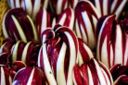 Ricette insalata: radicchio trevisano e carciofi