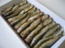 Secondi piatti: sarde allo zafferano