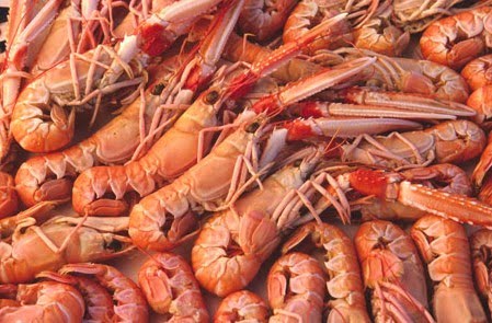 Ricetta degli scampi flambè alla vaniglia