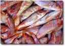 Ricette pesce: triglie con prosciutto e salvia
