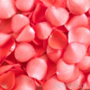 Menù vigilia di Natale:aragosta alle rose
