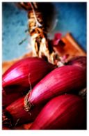 Ricette secondi: calamari in salsa di cipolle rosse