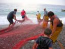 La Repubblica del Gusto: La grande Festa del pesce a Noli