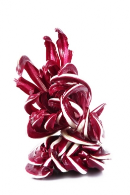 Ricette primi piatti: lasagne al radicchio