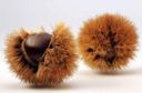 Ricette per bambini: lecca lecca di castagne