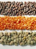 Le lenticchie sono il cibo di buon augurio: risultati del sondaggio