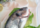 Ricette pesce: mousse di trota